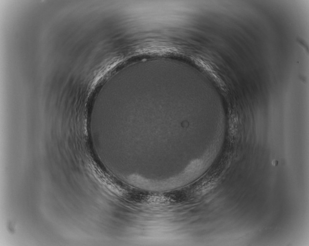 X0000100400399200806201741
