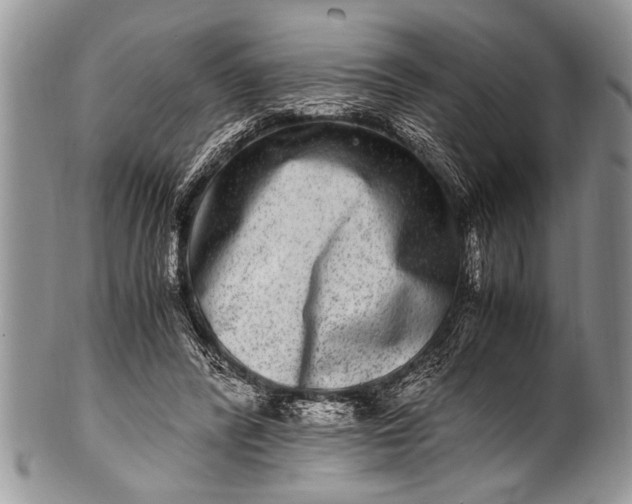 X0000100400400200806201741