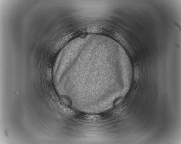 X0000100400401200806201741