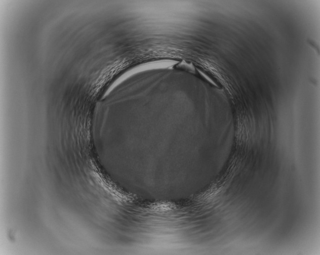 X0000100400402200806201741