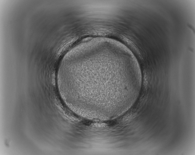 X0000100400403200806201741