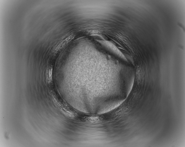 X0000100400406200806201740