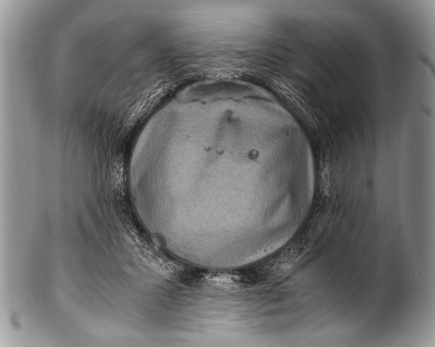 X0000100400407200806201740