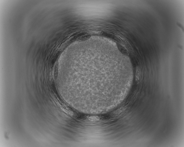 X0000100400409200806201740