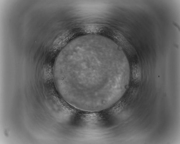 X0000100400411200806201740