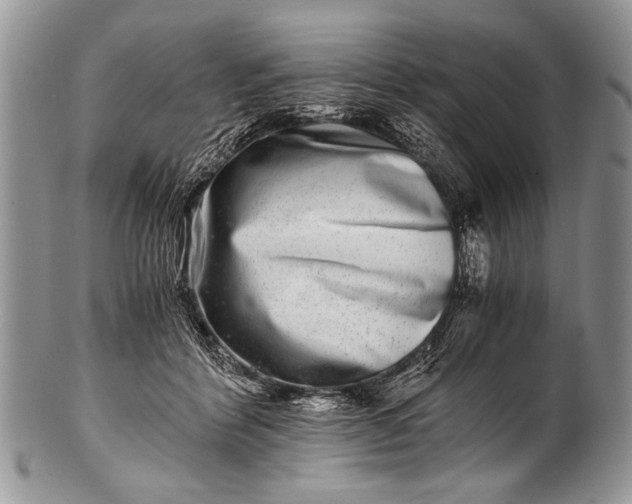 X0000100400412200806201740