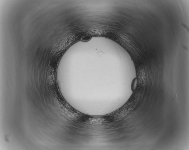 X0000100400414200806201740
