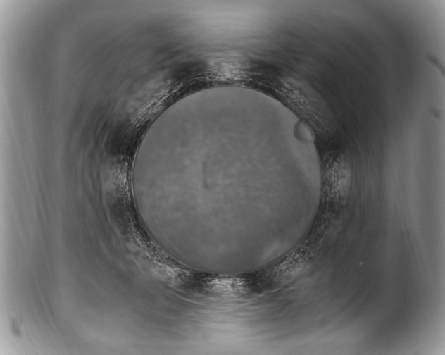 X0000100400415200806201740