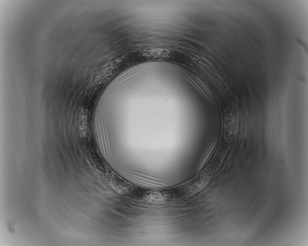 X0000100400416200806201740