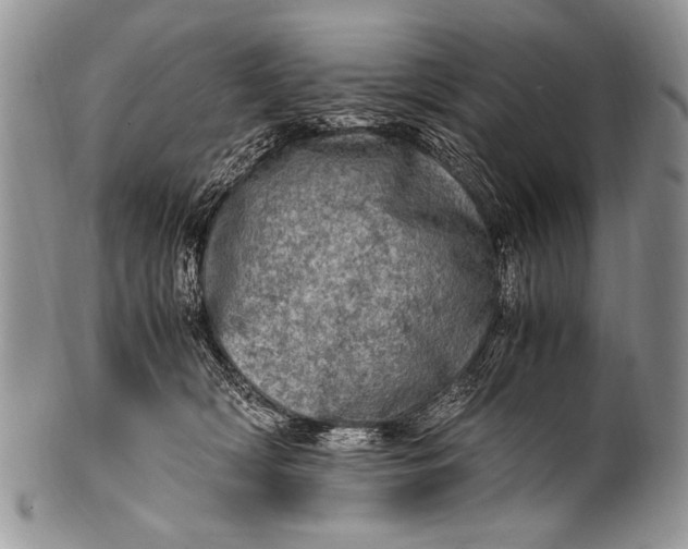 X0000100400418200806201740