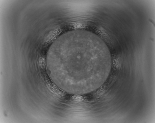 X0000100400419200806201740
