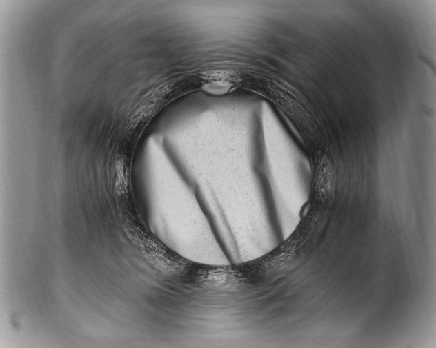 X0000100400420200806201740