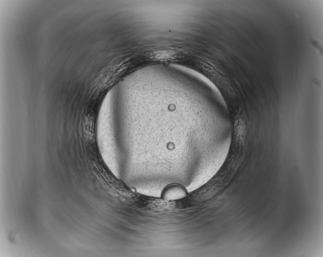 X0000100400421200806201740