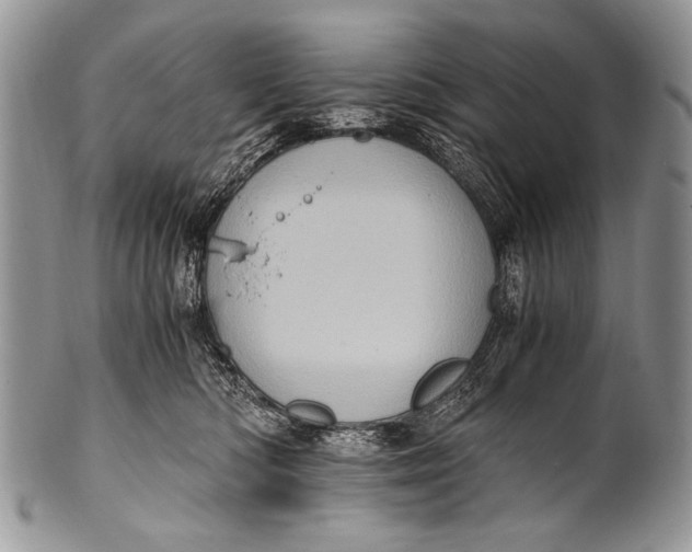 X0000100400422200806201740