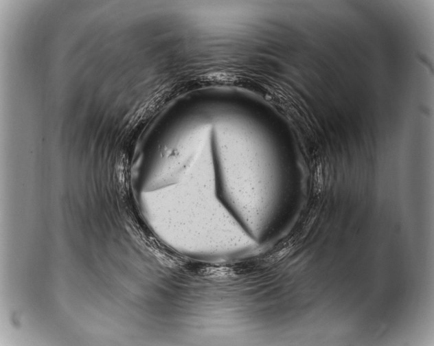 X0000100400424200806201740