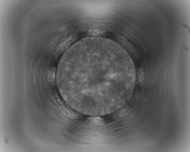 X0000100400427200806201740