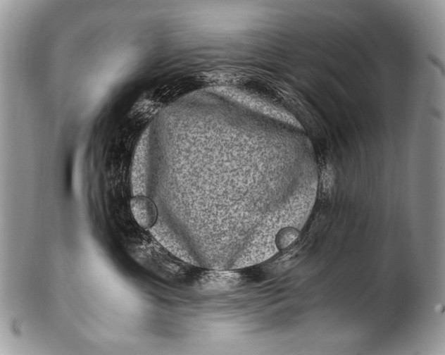 X0000100400429200806201740