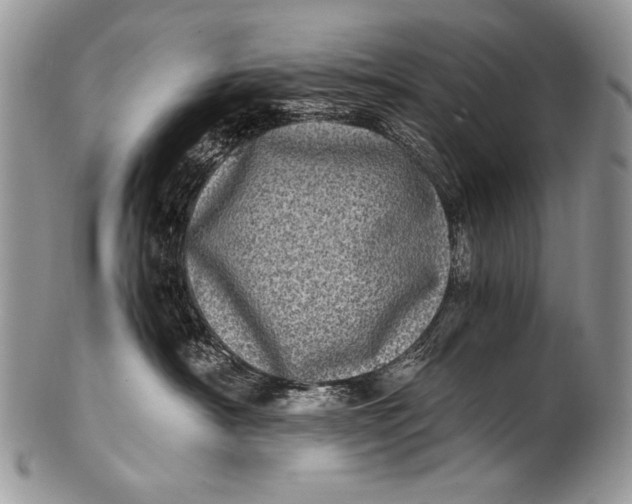 X0000100400430200806201740