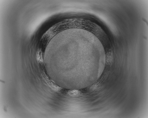 X0000100400431200806201740