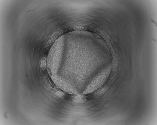 X0000100400432200806201740