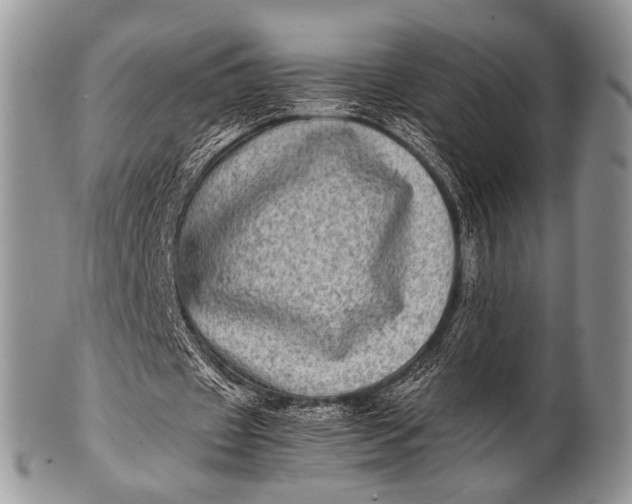 X0000100400433200806201739