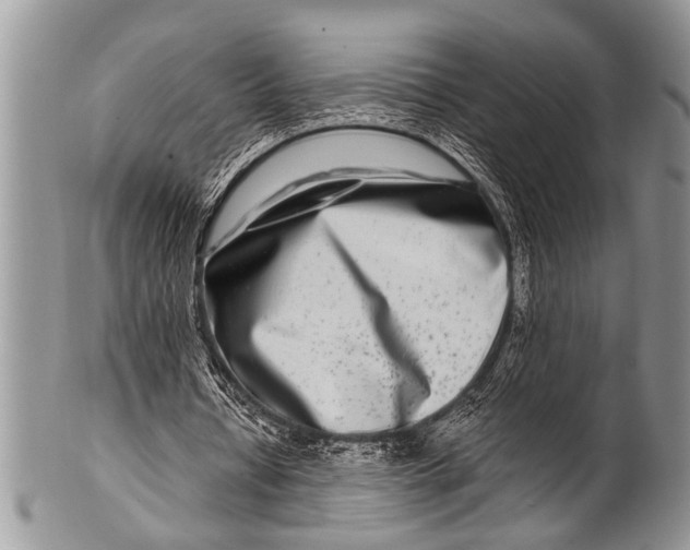 X0000100400434200806201739