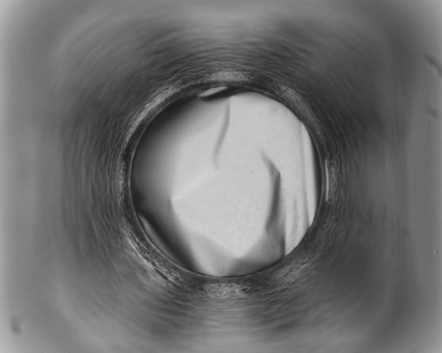 X0000100400435200806201739