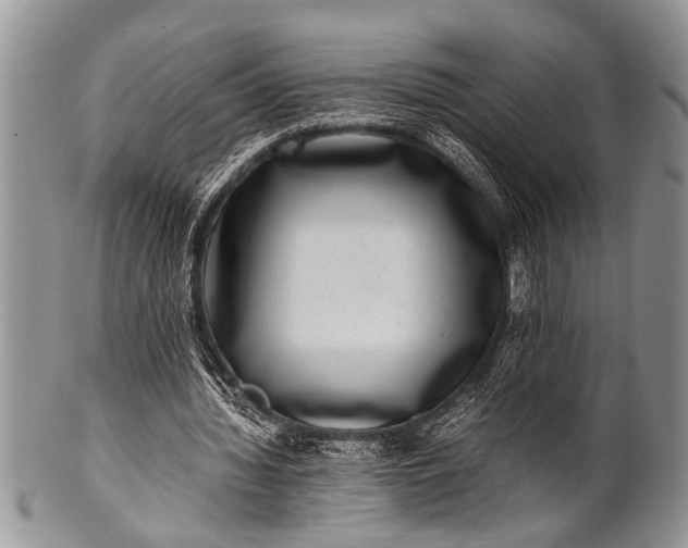 X0000100400436200806201739