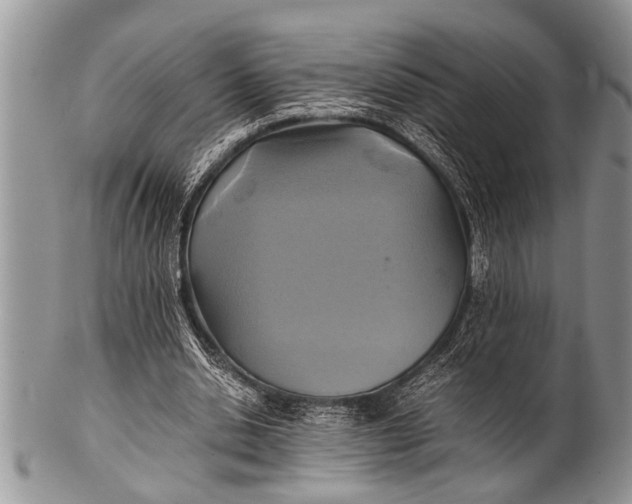 X0000100400438200806201740