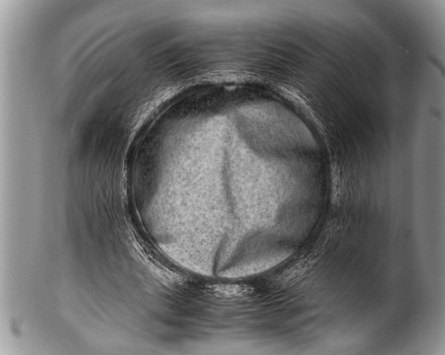 X0000100400439200806201740