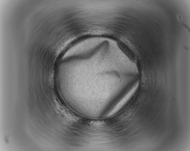 X0000100400440200806201740