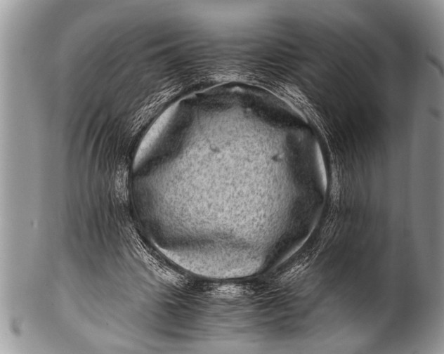 X0000100400441200806201740