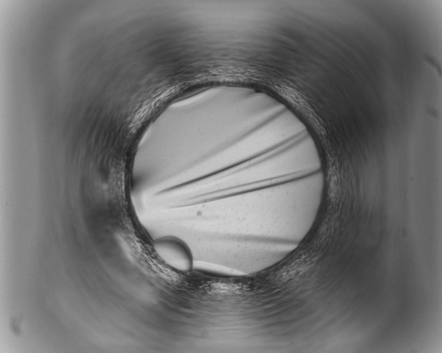 X0000100400442200806201740