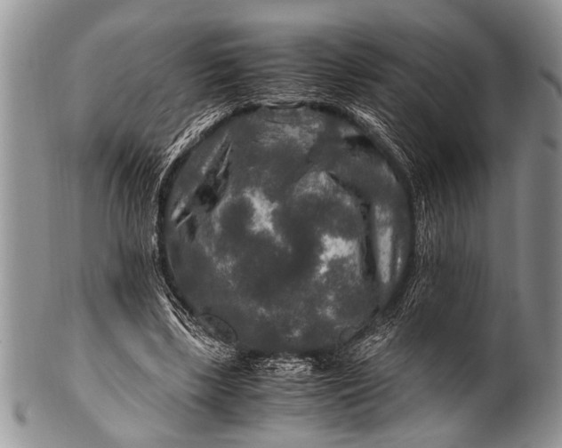 X0000100400443200806201740