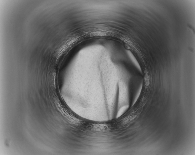 X0000100400446200806201740