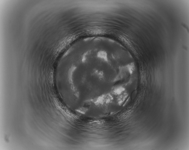 X0000100400447200806201740