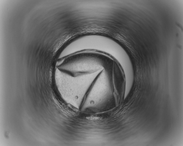 X0000100400448200806201740