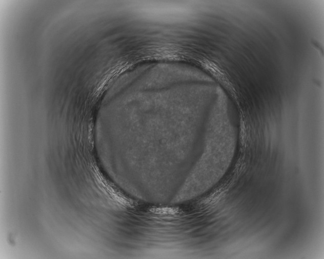 X0000100400449200806201740