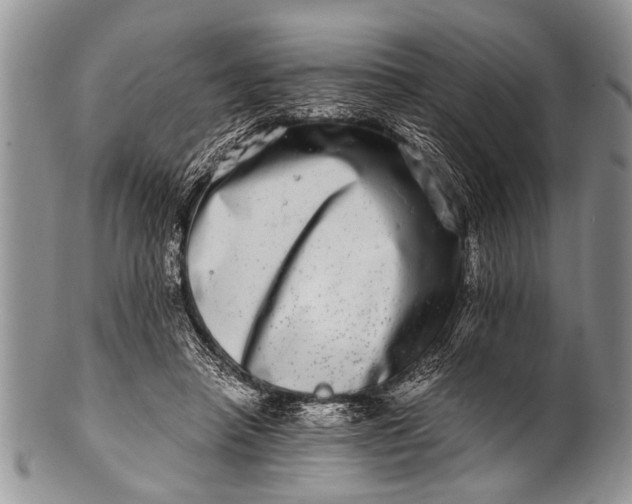 X0000100400450200806201740