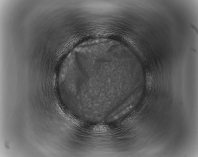 X0000100400451200806201740