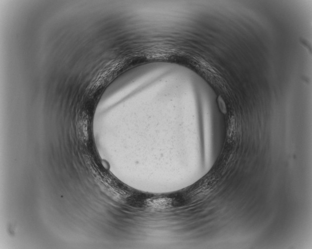 X0000100400452200806201740