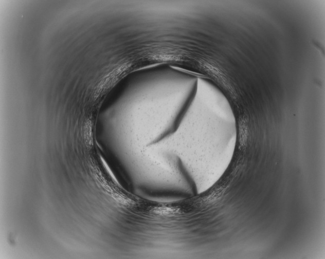 X0000100400453200806201740