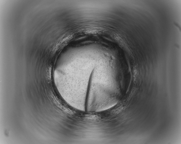 X0000100400454200806201740