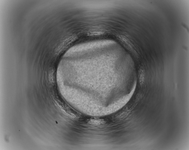 X0000100400455200806201740