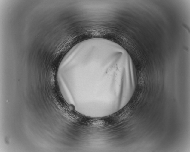 X0000100400456200806201740