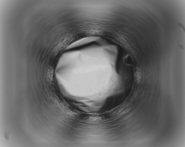 X0000100400458200806201740