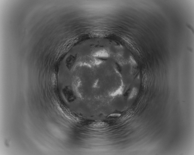 X0000100400459200806201740