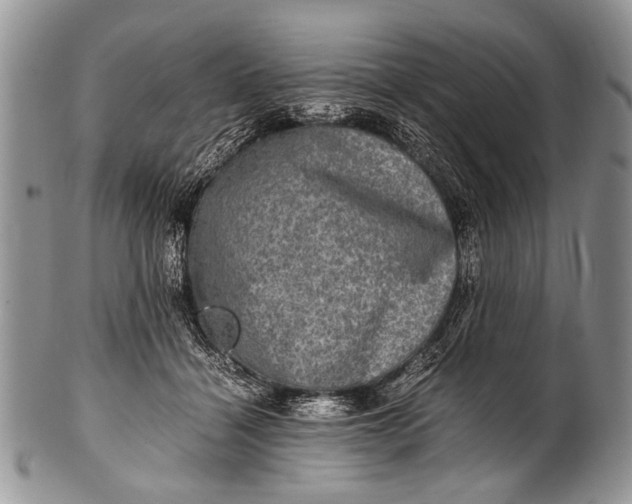 X0000100400460200806201740
