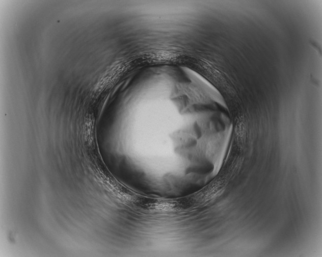X0000100400462200806201740