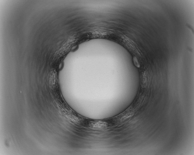 X0000100400463200806201740